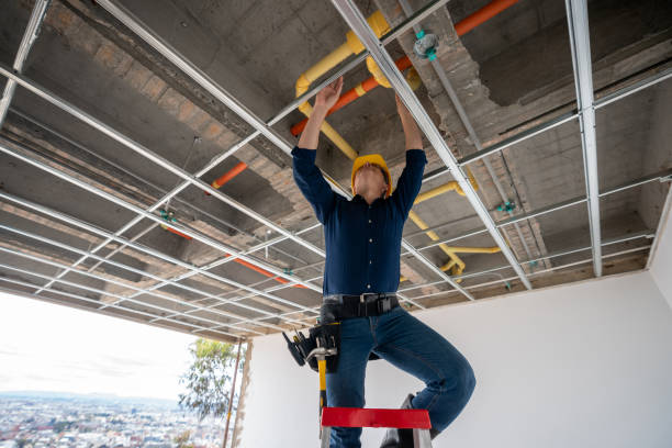 Best Local Plumber Services  in Moroni, UT